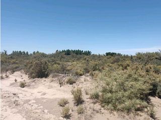 Foto 5 de VENTA DE CAMPO 104 HAS EN 12 DE OCTUBRE- SANTA ROSA.
