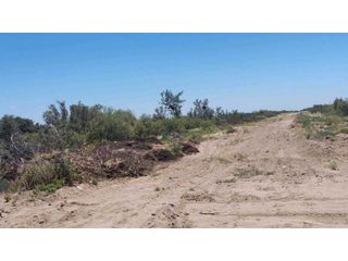 Foto 9 de VENTA DE CAMPO 104 HAS EN 12 DE OCTUBRE- SANTA ROSA.