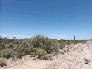 Foto 6 de VENTA DE CAMPO 104 HAS EN 12 DE OCTUBRE- SANTA ROSA.