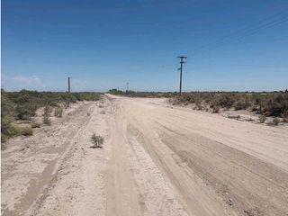 Foto 2 de VENTA DE CAMPO 104 HAS EN 12 DE OCTUBRE- SANTA ROSA.