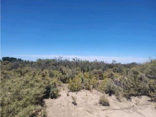 Foto 3 de VENTA DE CAMPO 104 HAS EN 12 DE OCTUBRE- SANTA ROSA.