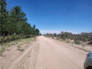 Foto 7 de VENTA DE CAMPO 104 HAS EN 12 DE OCTUBRE- SANTA ROSA.