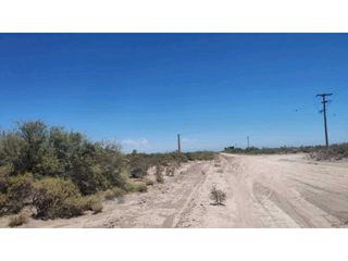 Foto 4 de VENTA DE CAMPO 104 HAS EN 12 DE OCTUBRE- SANTA ROSA.