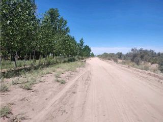 Foto 1 de VENTA DE CAMPO 104 HAS EN 12 DE OCTUBRE- SANTA ROSA.