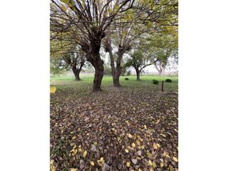 Foto 19 de Chacra de 7 ha en San Miguel del Monte - La Escondida