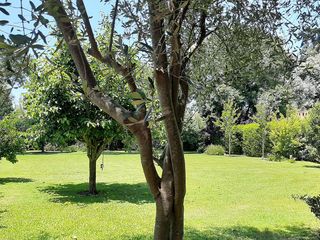 Foto 10 de Terreno en venta en Manzanares, Pilar Club de Campo San Francisco