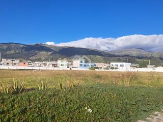 Foto 5 de RENTA DE TERRENO SECTOR PIFO