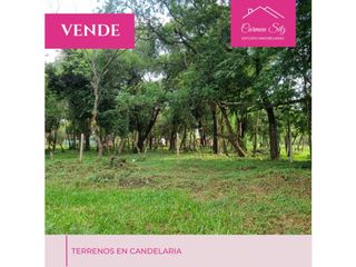 Foto 4 de Terrenos en Candelaria cercanos a la costanera