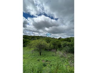 Foto 6 de VENTA - LOTES 560 M2 - LA GRANJA