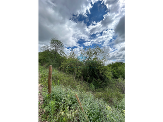 Foto 7 de VENTA - LOTES 560 M2 - LA GRANJA