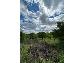 Foto 3 de VENTA - LOTES 560 M2 - LA GRANJA