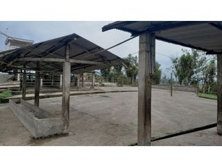 Foto 11 de Venta de Hacienda en el Sector Santo Domingo, a 16 km de la Ciudad.