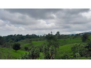 Foto 7 de Venta de Hacienda en el Sector Santo Domingo, a 16 km de la Ciudad.
