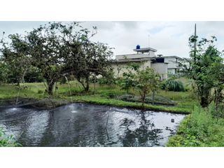 Foto 10 de Venta de Hacienda en el Sector Santo Domingo, a 16 km de la Ciudad.