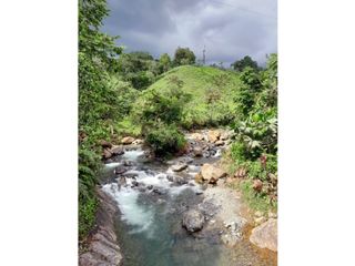 Foto 12 de Venta de Hacienda en el Sector Santo Domingo, a 16 km de la Ciudad.