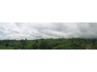 Foto 5 de Venta de Hacienda en el Sector Santo Domingo, a 16 km de la Ciudad.
