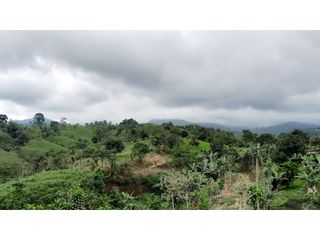 Foto 9 de Venta de Hacienda en el Sector Santo Domingo, a 16 km de la Ciudad.