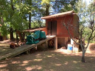 Foto 7 de Casa - Toro