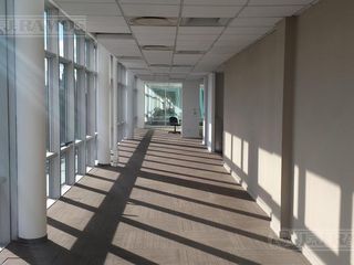 Foto 4 de Oficina en Puerto Madero