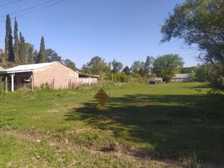 Foto 6 de Olivero a mtrs. del Rio Carcarañá