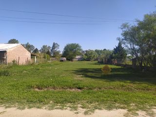 Foto 5 de Olivero a mtrs. del Rio Carcarañá