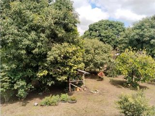 Foto 5 de Vendo finca de producion y descanso en caloto departamento del cauca