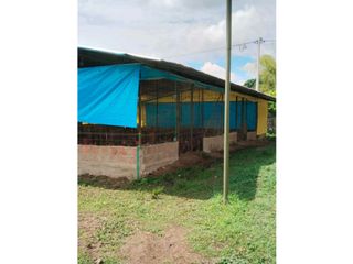 Foto 54 de Vendo finca de producion y descanso en caloto departamento del cauca