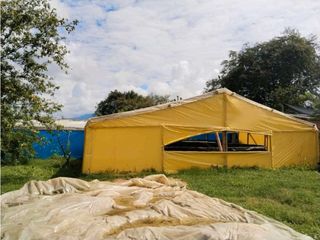 Foto 52 de Vendo finca de producion y descanso en caloto departamento del cauca
