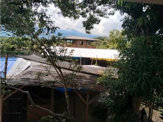 Foto 49 de Vendo finca de producion y descanso en caloto departamento del cauca