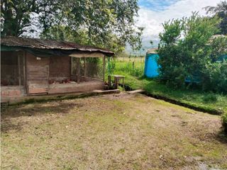 Foto 46 de Vendo finca de producion y descanso en caloto departamento del cauca