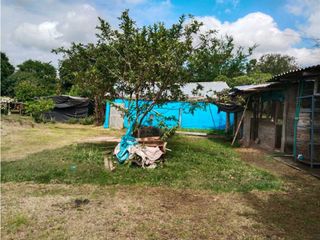 Foto 32 de Vendo finca de producion y descanso en caloto departamento del cauca