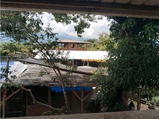Foto 47 de Vendo finca de producion y descanso en caloto departamento del cauca