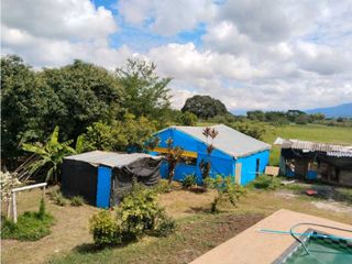 Foto 3 de Vendo finca de producion y descanso en caloto departamento del cauca