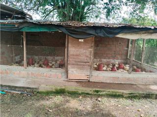 Foto 31 de Vendo finca de producion y descanso en caloto departamento del cauca