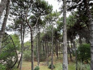 Foto 23 de Casa en venta - 4 Dormitorios 3 Baños 2 Cocheras - 1000Mts2 - Pinamar