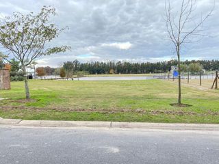 Foto 3 de Terreno en Barrio San Juan, Dique Lujan, Tigre - Lote en venta - 1.200 m2 - Barrio Nautico San Juan, Villanueva, Tigre -