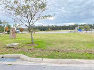 Foto 5 de Terreno en Barrio San Juan, Dique Lujan, Tigre - Lote en venta - 1.200 m2 - Barrio Nautico San Juan, Villanueva, Tigre -