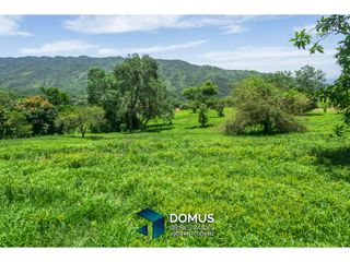 Foto 10 de VENTA TERRENO LA HOYADA DE CASTELLANOS SAN LORENZO