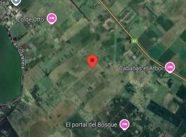 place photo 10