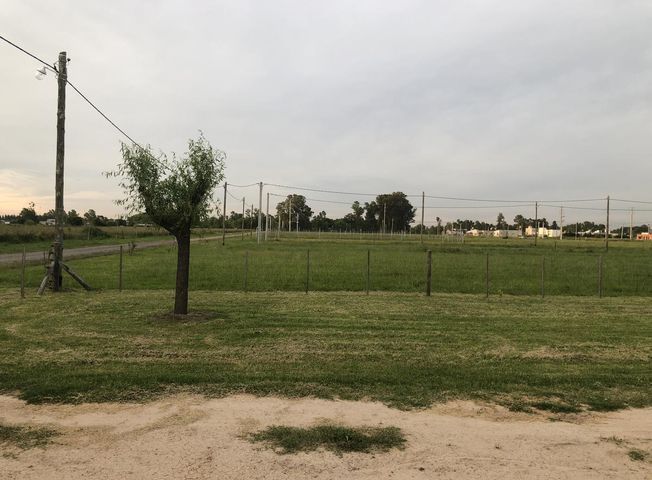 place photo 22