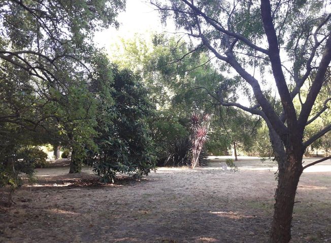 place photo 11