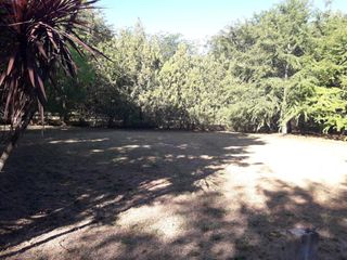Foto 6 de Terreno en venta - 20 x 56mts - 1123mts2 - El Rodeo, Abasto, La Plata
