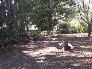 Foto 5 de Terreno en venta - 20 x 56mts - 1123mts2 - El Rodeo, Abasto, La Plata