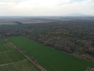 Foto 5 de Campo en Venta en Jujuy