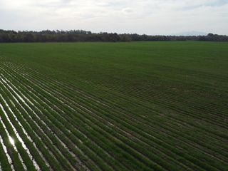 Foto 1 de Campo en Venta en Jujuy