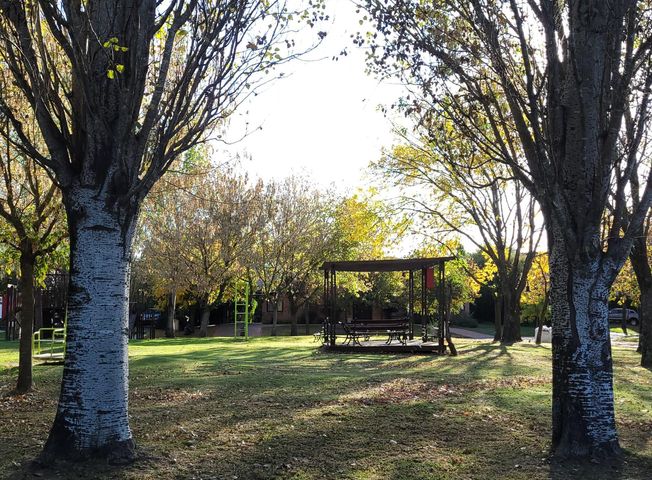 place photo 28