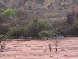 Foto 9 de Terreno en venta - 19.000Mts2 - Alemania, Salta
