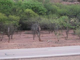 Foto 12 de Terreno en venta - 19.000Mts2 - Alemania, Salta