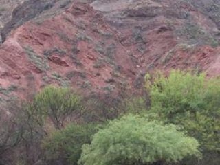 Foto 10 de Terreno en venta - 19.000Mts2 - Alemania, Salta