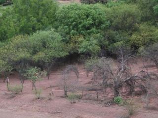 Foto 13 de Terreno en venta - 19.000Mts2 - Alemania, Salta